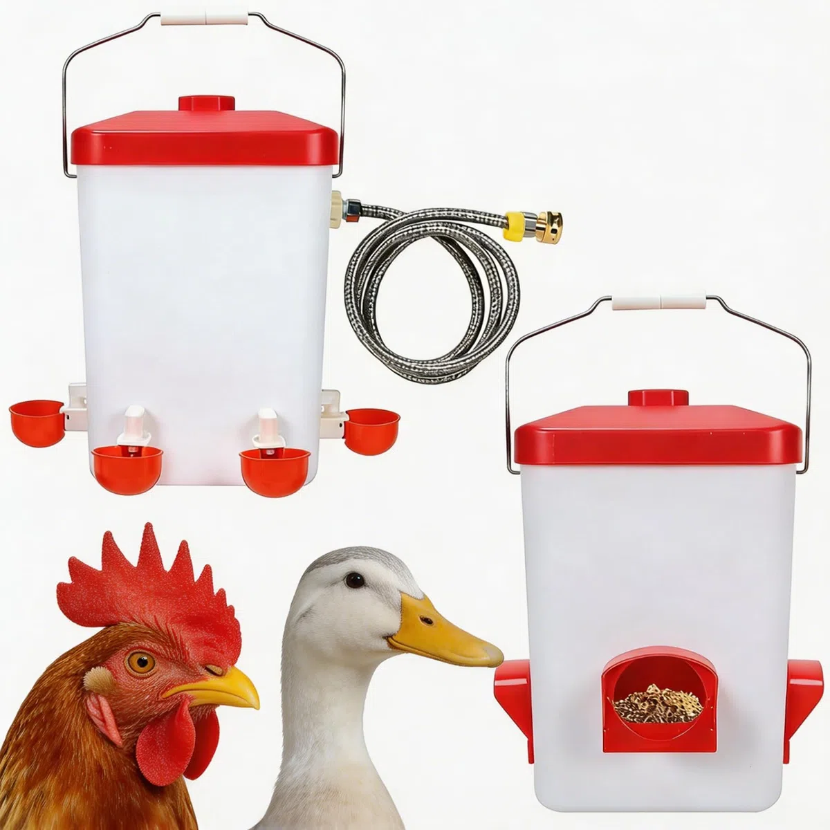 Set Comedero y Bebedero Automático para Gallinas en Blanco y Rojo, Comedero Gallinas Anti Ratas con Manguera de Riego y Kit Completo de Accesorios de Montaje