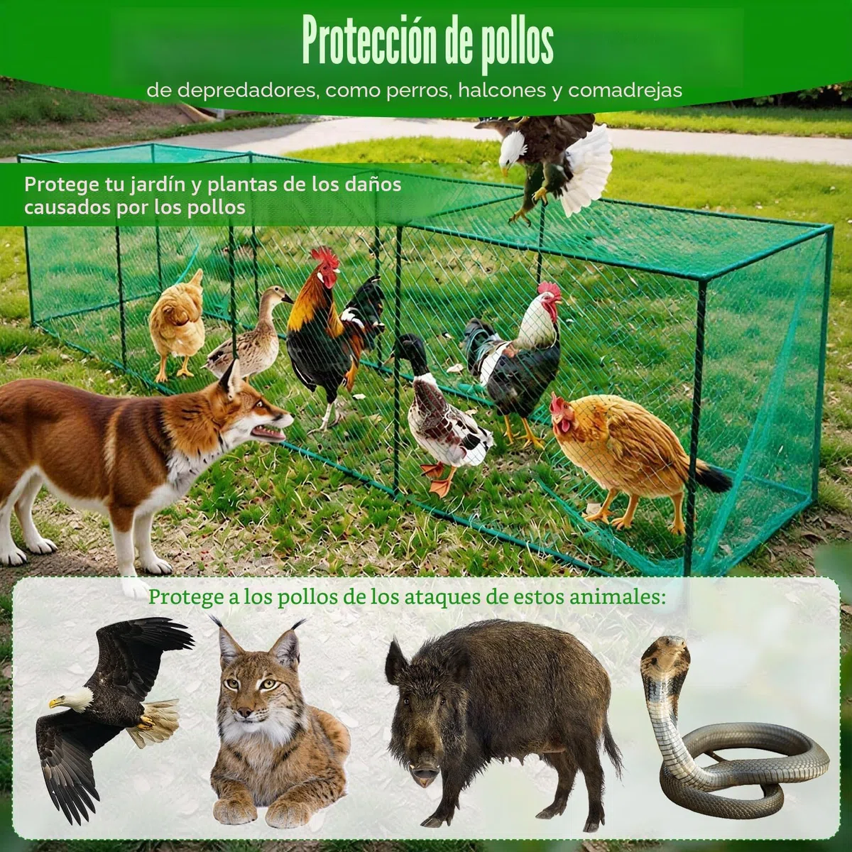 Gallinero, Túneles para Pollos de 320 * 80 * 80cm Rejilla Móvil y Grande para Aves de Corral al Aire Libre, Jaula de Pollo y Pájaros
