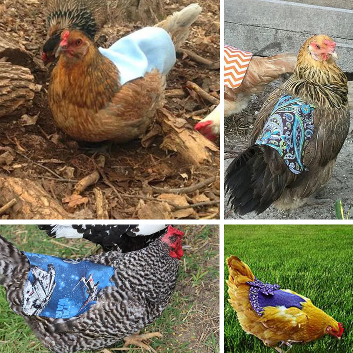 Delantal Pollo Silla de Montar,Suministros para Cuidado Gallinas,Correas para Chaqueta de Pollo,Protector de ala de Gallina,Protección para la Espalda de Gallinas,Sillín de Pollo,Sillín de Gallina