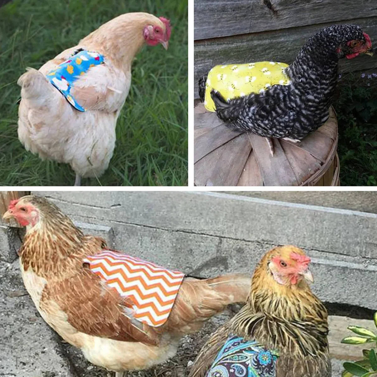 Delantal Pollo Silla de Montar,Suministros para Cuidado Gallinas,Correas para Chaqueta de Pollo,Protector de ala de Gallina,Protección para la Espalda de Gallinas,Sillín de Pollo,Sillín de Gallina